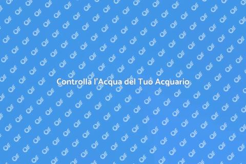 Test Acqua per Acquario: Guida Essenziale