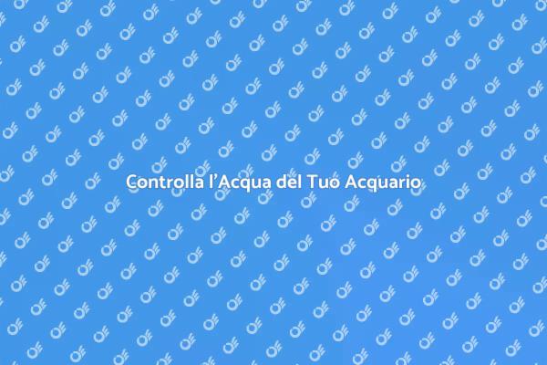 La Guida ai Test per l'Acqua dell’Acquario