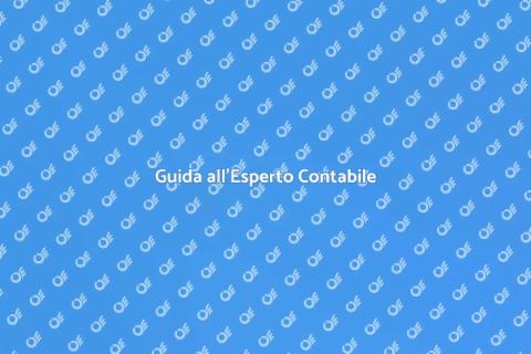 Esperto Contabile per Finanze Sicure