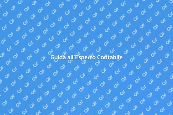Il Tuo Esperto Contabile di Fiducia