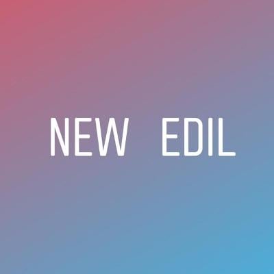 newedil srls