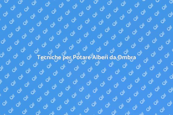 Potatura Sicura degli Alberi da Ombra
