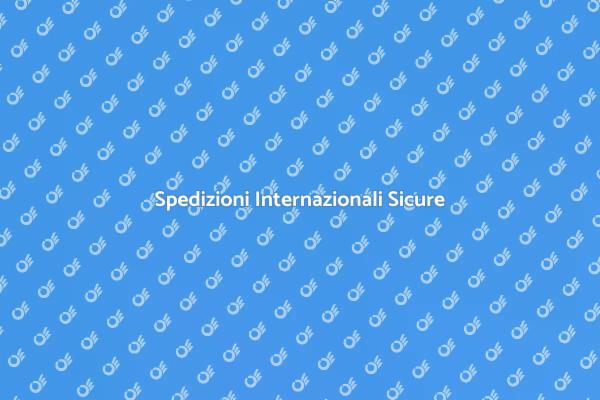 L'Arte del Trasporto Internazionale