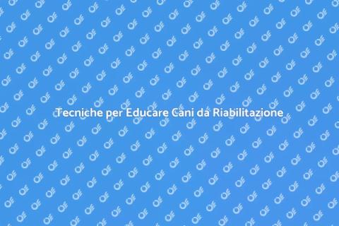 Educare Cani da Riabilitazione
