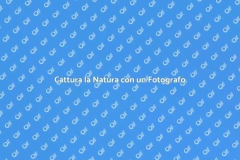 Fotografia Naturalista per Amanti della Natura
