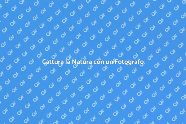 Scopri la Fotografia Naturalista