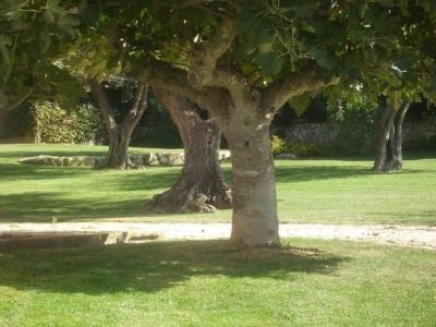 D. & S. Giardini  - Foto 5