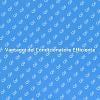 Condizionatore: Comfort e Efficienza