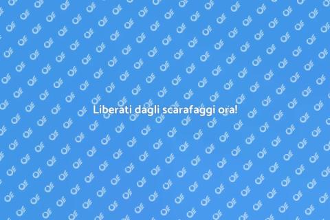 Disinfestazione scarafaggi professionale