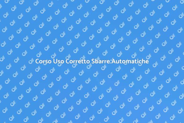 Uso Efficiente delle Sbarre Automatiche