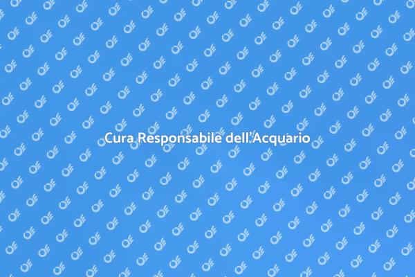 Guida alla Sostenibilità in Acquario