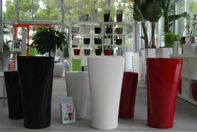 Artenatura Garden Center  - Foto 8