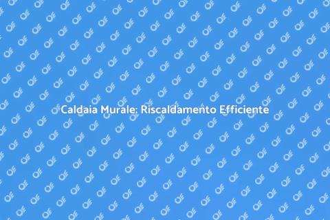 Efficienza Energetica Caldaia Murale