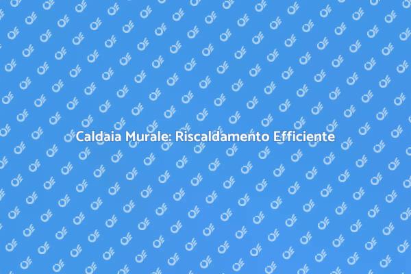 Caldaie Murali: Vantaggi Energetici