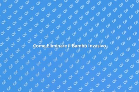 Rimuovere il Bambù: Guida Pratica