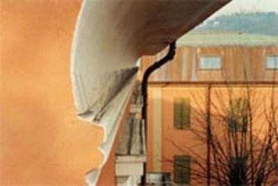 S.I.A. Disinfestazioni  - Foto 2