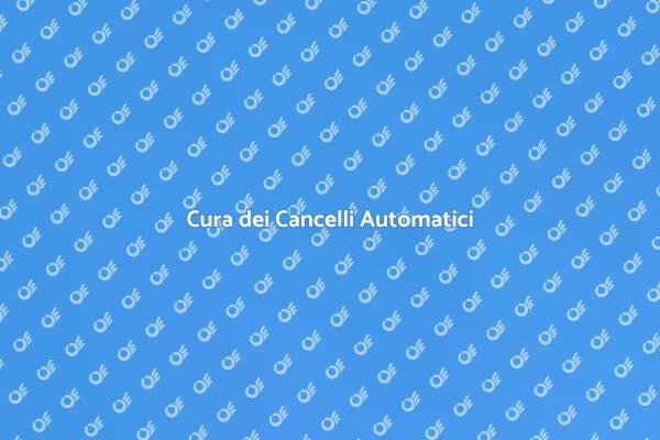 Manutenzione e Sicurezza Cancelli