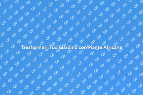 Giardino Roccioso con Piante Africane