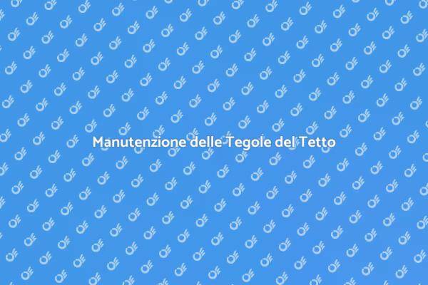 Ripara il Tuo Tetto Facile e Sicuro