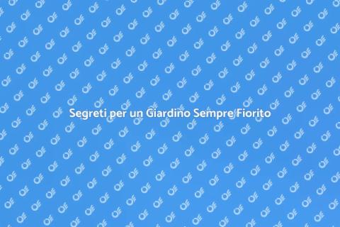 Giardino Fiorito Tutto l'Anno