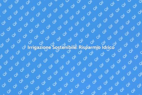 Irrigazione a Basso Consumo d'Acqua