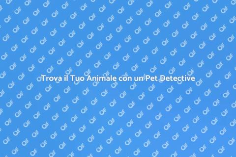 Assumere un Pet Detective per Ritrovare