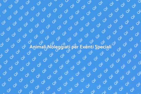 Noleggiare Animali per Eventi di Comunità