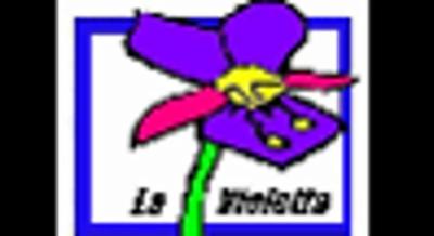 La Violetta Fiori  - Foto 1