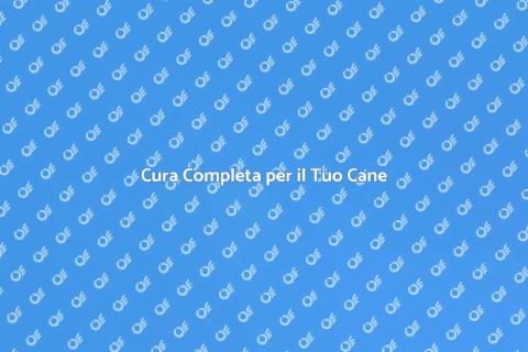 Toelettatura Completa per Cani