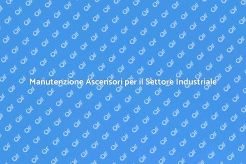 Supporto Ascensori Industriali Efficace