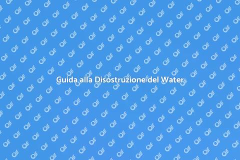Disostruire il Water della Toilette
