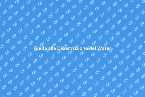 Come Disostruire il Water della Toilette