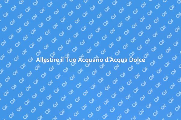 Guida alla Consulenza per Acquario