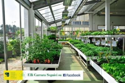 Fratelli Carrara  - Foto 9