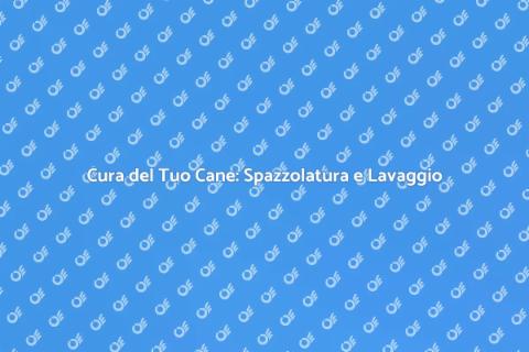 Spazzolatura e Lavaggio per Cani
