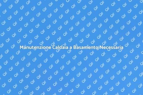 Revisione Caldaia a Basamento Essenziale