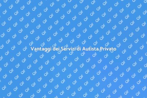 Servizi di Autista Privato Professionali