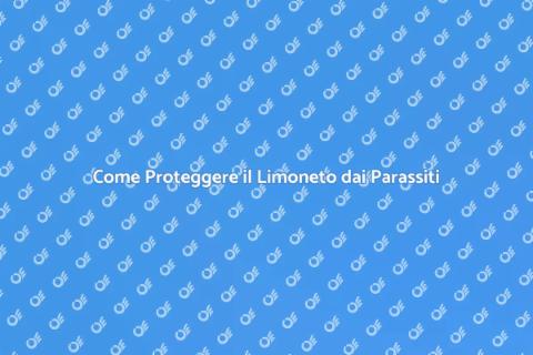 Tutelare il limoneto dai parassiti