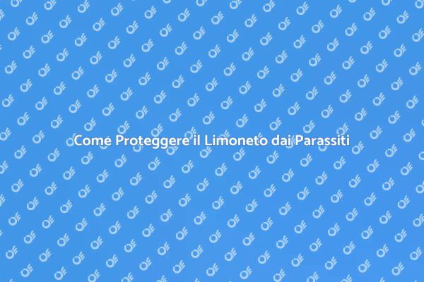 Protezione Efficace per il Limoneto