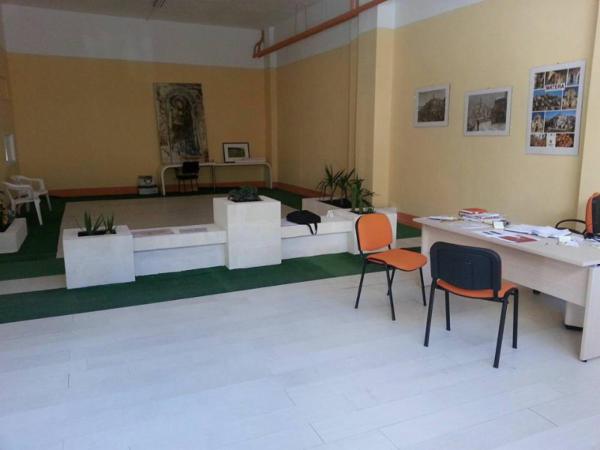 Autoservizi Damasco  - Foto 3
