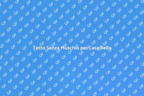Rimozione Muschio Tetto Efficace