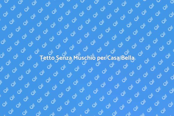 Mantieni il Tuo Tetto Libero dal Muschio