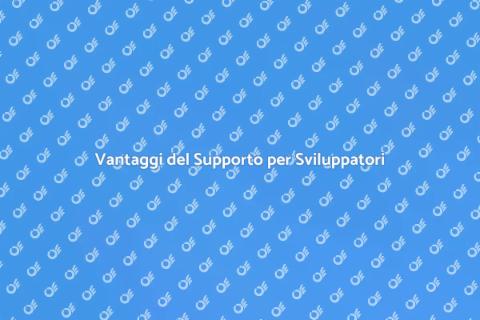 Supporto Sviluppatori Software Efficace