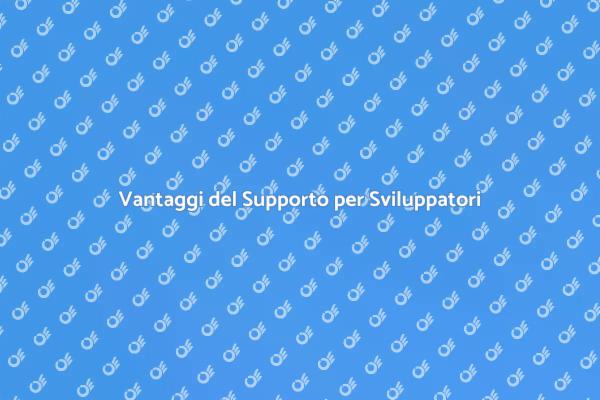 Supporto Software: Un Vantaggio Strategico