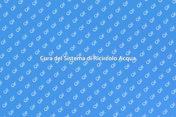 Manutenzione Essenziale della Piscina