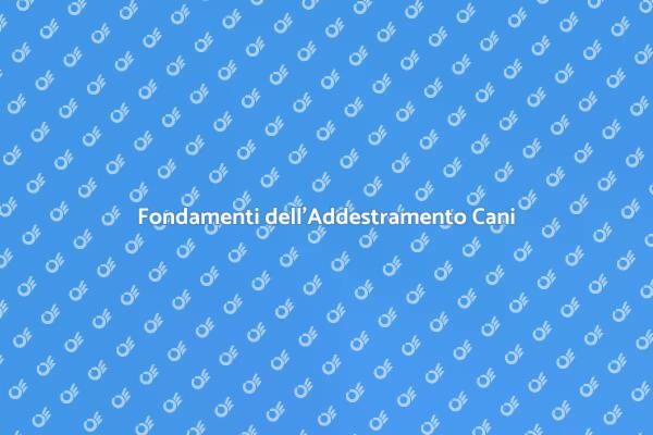 Addestramento Cani: Guida Essenziale