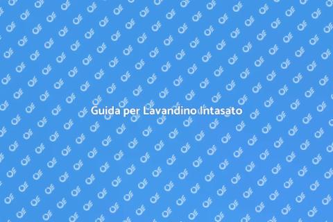 Risolvere Lavandino Intasato