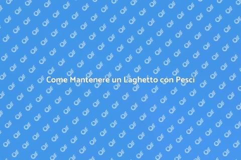 Manutenzione Laghetto con Pesci Esotici