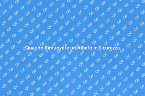 Rimuovere un Albero: Guida Sicura