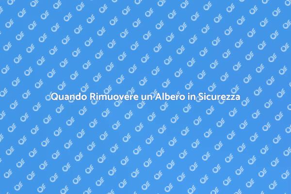 Rimozione Sicura degli Alberi: Ecco Come